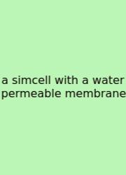 A Simcell With A Water Permeable Membrane