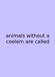 Animals Without A Coelem Are Called