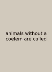 Animals Without A Coelem Are Called