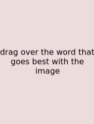 Drag Over The Word That Goes Best With The Image