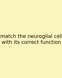 Match The Neuroglial Cell With Its Correct Function