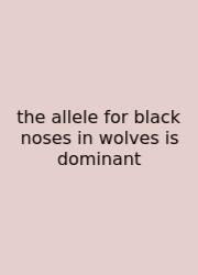 The Allele For Black Noses In Wolves Is Dominant