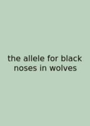 The Allele For Black Noses In Wolves