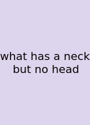 What Has A Neck But No Head