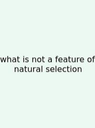 What Is Not A Feature Of Natural Selection