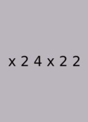 X 2 4 X 2 2